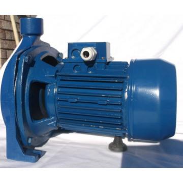 Electric Centrifugal Water CP CPm158 1Hp 240V  Pump