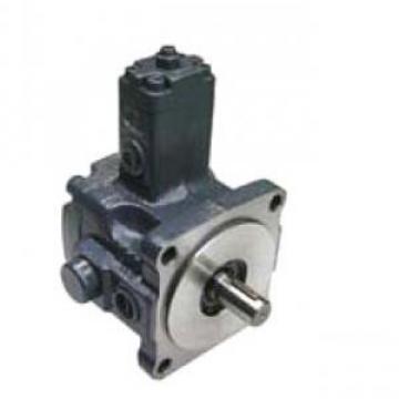 VPE Series  Vane Pump