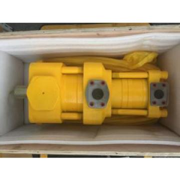 Sumitomo QT4322-25-6.3F Double Gear Pump