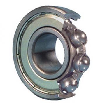 FAG France BEARING 6004-Z-C3 Ball Bearings