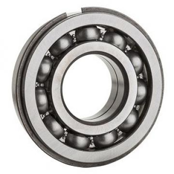 NTN 6303NR Ball Bearings