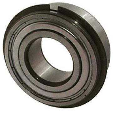 NTN 6010ZZNR/2A Single Row Ball Bearings