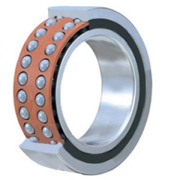 INA 3800-B-2RS-TVH Angular Contact Ball Bearings