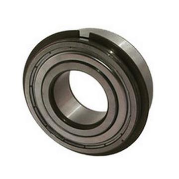 Peer Bearing 5203ZZNR