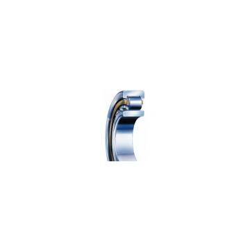 SKF N 206 ECP