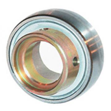 INA RAE17-NPP-B Insert Bearings Spherical OD