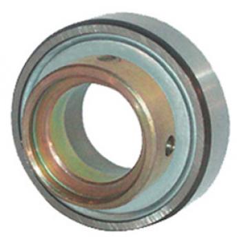 INA RAE17-NPP-FA106 Insert Bearings Cylindrical OD