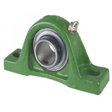 INA RAKY2 Pillow Block Bearings