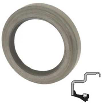 SKF 18100 Oil Seals