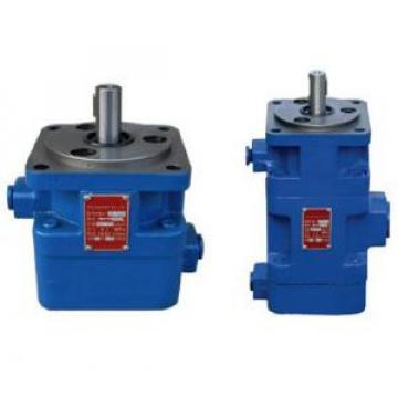 YB1 Type Double Vane Pump YB1-10/6