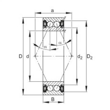 Angular contact ball bearings - 3000-B-2RZ-TVH