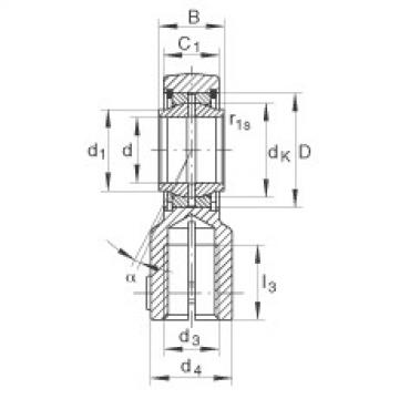 Hydraulic rod ends - GIHNRK20-LO