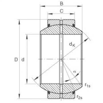 Radial spherical plain bearings - GE110-FO-2RS