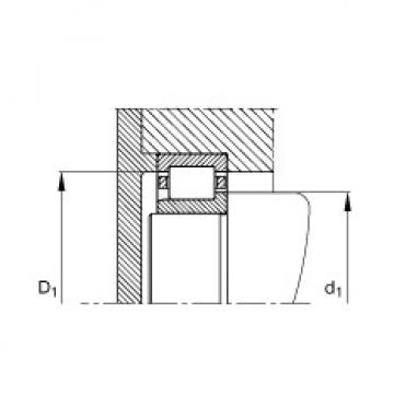 Cylindrical roller bearings - NJ203-E-XL-TVP2