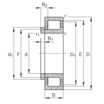 Cylindrical roller bearings - NJ203-E-XL-TVP2 + HJ203-E