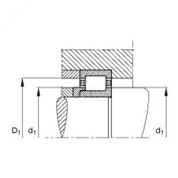 Cylindrical roller bearings - NJ204-E-XL-TVP2 + HJ204-E