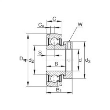 Radial insert ball bearings - GRA102-NPP-B-AS2/V