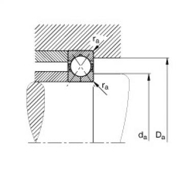 Four point contact bearings - QJ205-XL-MPA