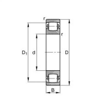 Barrel roller bearings - 20205-TVP