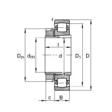 Barrel roller bearings - 20205-K-TVP-C3 + H205