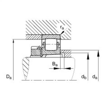 Barrel roller bearings - 20205-K-TVP-C3 + H205