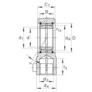 Hydraulic rod ends - GIHRK25-DO