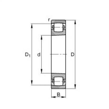 Barrel roller bearings - 20205-K-TVP-C3