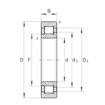 Cylindrical roller bearings - SL192306-XL