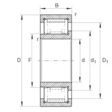 Cylindrical roller bearings - ZSL192305