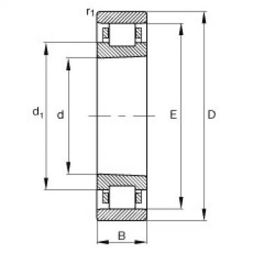 Cylindrical roller bearings - N1044-K-M1-SP