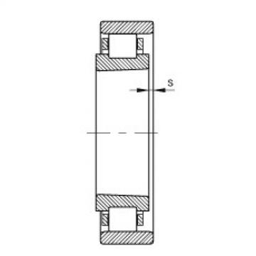 Cylindrical roller bearings - N1026-K-M1-SP