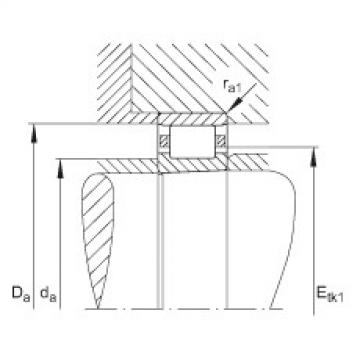 Cylindrical roller bearings - N1006-K-M1-SP