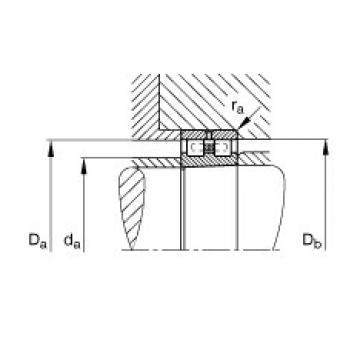 Cylindrical roller bearings - NN3013-AS-K-M-SP