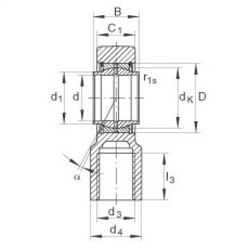 Hydraulic rod ends - GIHNRK100-LO