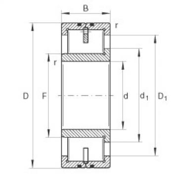 Cylindrical roller bearings - LSL192316