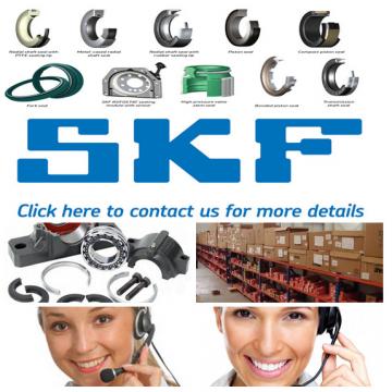 SKF 10074 Radial shaft seals for general industrial applications