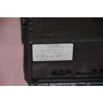 TAYLOR ABB 6231BP10930D-K 6231BP10930DK 6231BP10920C-E ANALOG MODULE