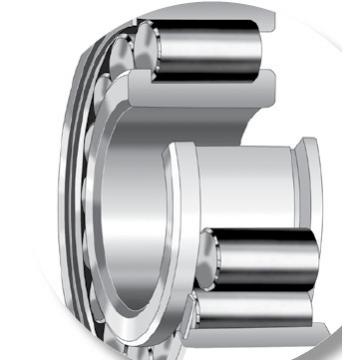 Bearing 170RN93