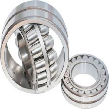 NJ2311ECP SKF Cylindrical Roller Bearing Single Row