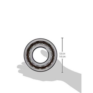 SKF NUP 204 ECP Cylindrical Roller Bearing, Single Row, Two Piece, Removable OD,