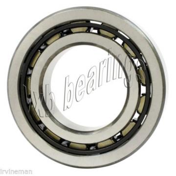 NJ309M Cylindrical Roller Bearing 45x100x25 Cylindrical Bearings 17493