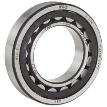 FAG Bearings FAG NJ205E-TVP2-C3 Cylindrical Roller Bearing, Single Row, Straight