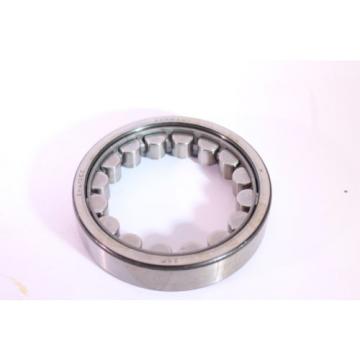 SKF CYLINDRICAL ROLLER BEARING