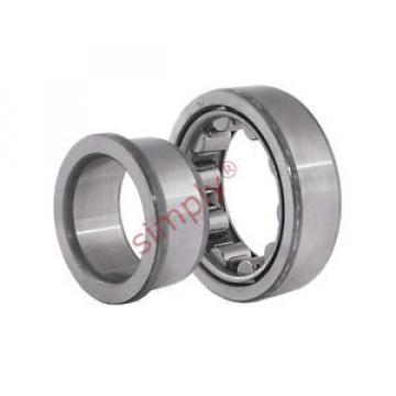 NJ307 Budget Single Row Cylindrical Roller Bearing 35x80x21mm