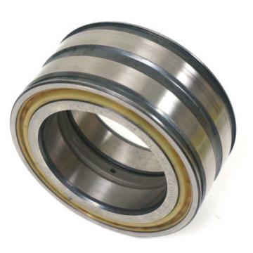 NEW INA SL045017-PP DOUBLE ROW CYLINDRICAL ROLLER BEARING, SL045017PP