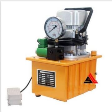 Hydraulic electric pump oil pressure Pedal with solenoid valve oil pressure pump Pump