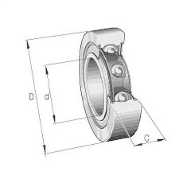 LR209NPP INA Support Roller