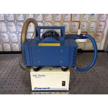 Savant Gel GP110120 Pump