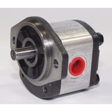 Hydraulic Gear 1PN070CG1P13D3CNXS Pump