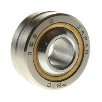 PB10 IKO Spherical Plain Bearing